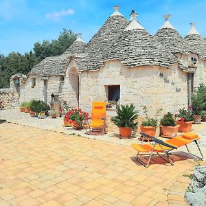 La Rosa dei Trulli B&B